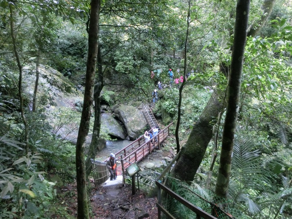 馬武督森林_566546