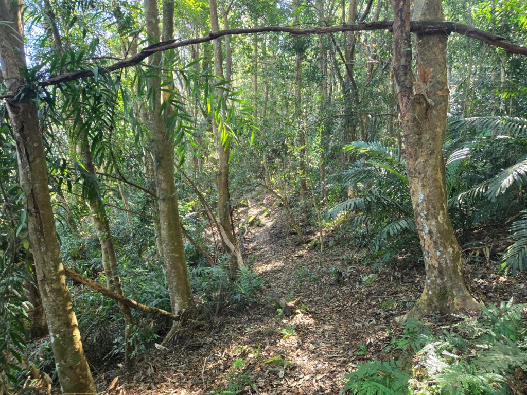 水雲三星～上島山（鳥嘴山）_2931234