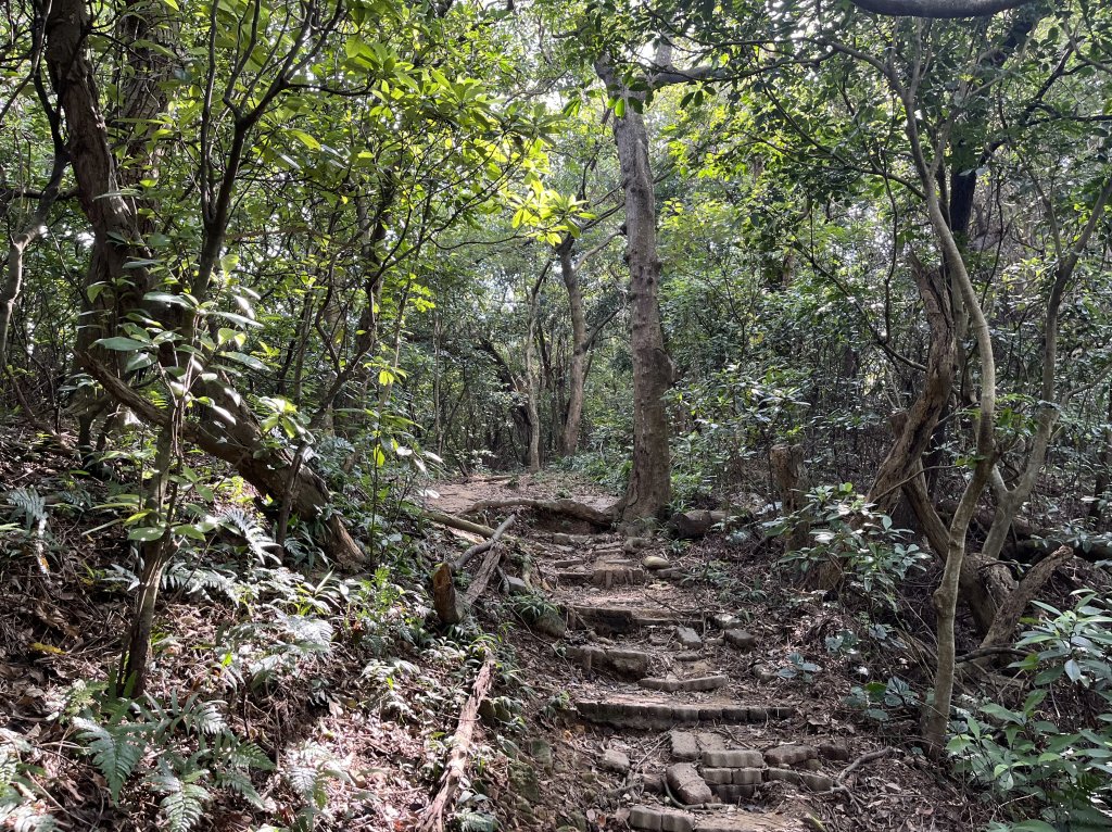 2024_0804 文間山_2566393