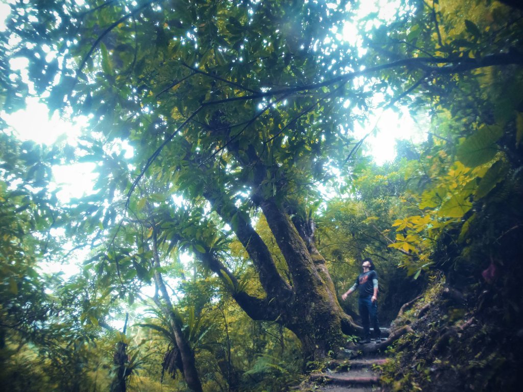 雲霧霧雨濛濛尋找聖母之地_448675