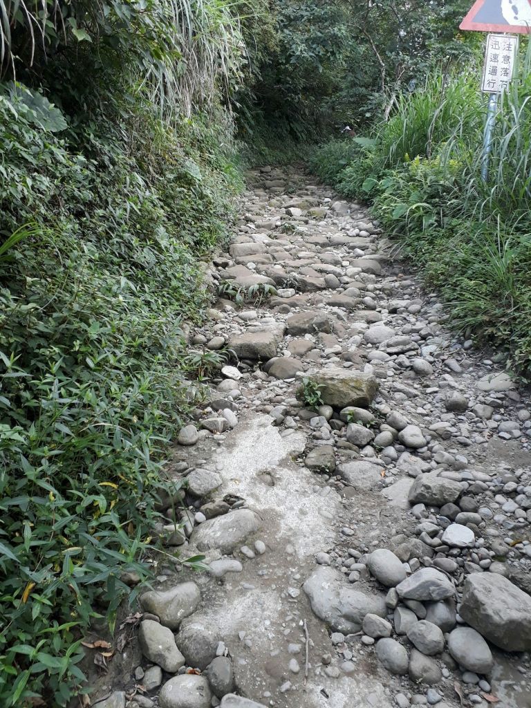 關仔嶺大凍山_141292