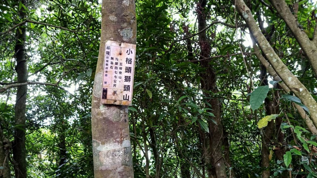石碇鱷魚島千島湖雷公埤臨溪竹坑步道小格頭獅頭山20210506 11K7H_1377621
