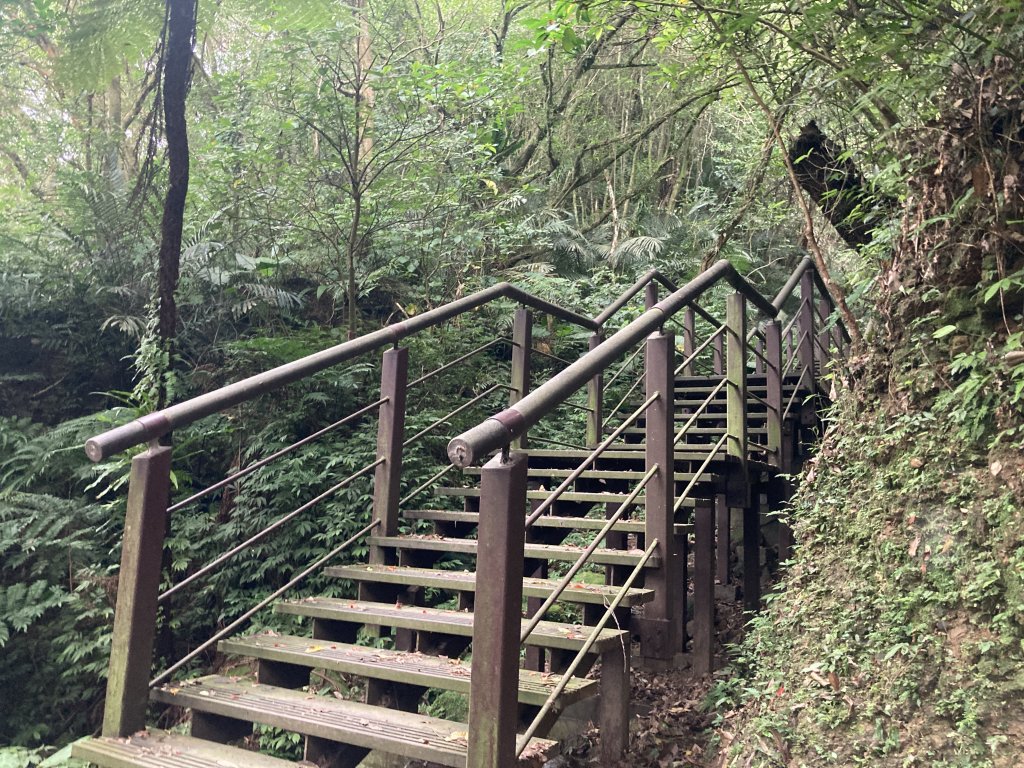 土庫岳_2527739