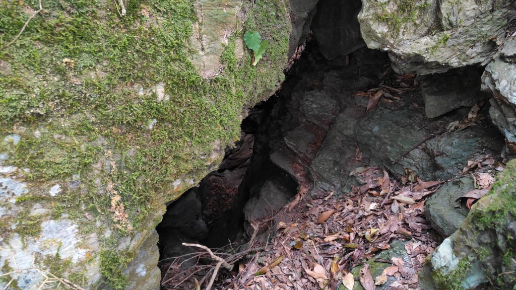 衣丁山單攻初體驗2025年3月30日_2749818