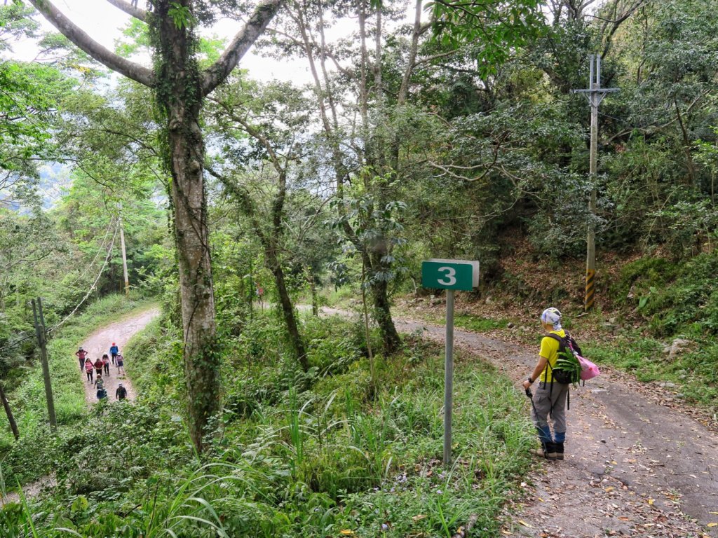 桃山部落 雪山坑 巨人之手 山蘇森林 大雪山540林道_1345947