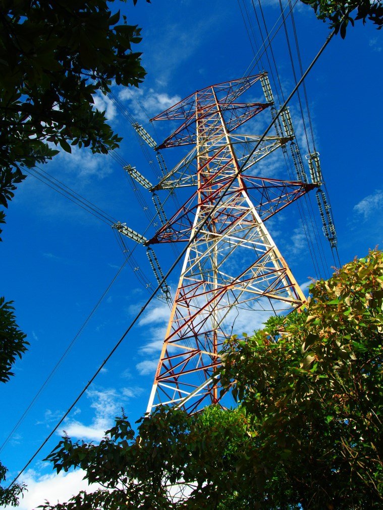 九五峰‧南港山_551704