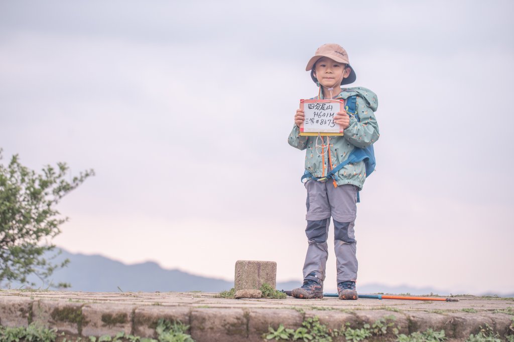 五色風馬旗海-四分尾山(天道清修院起登)_2106814