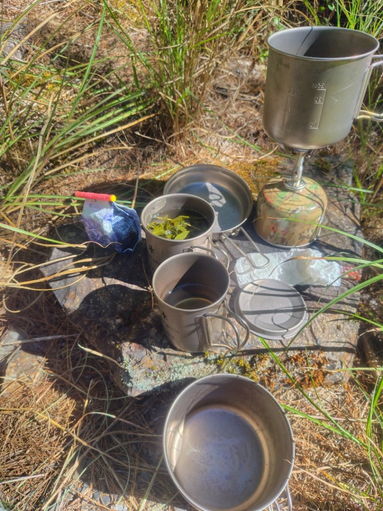 大雪山森林遊樂區 遊客中心 小神木 北三錐山 平石山西北峰_2953010