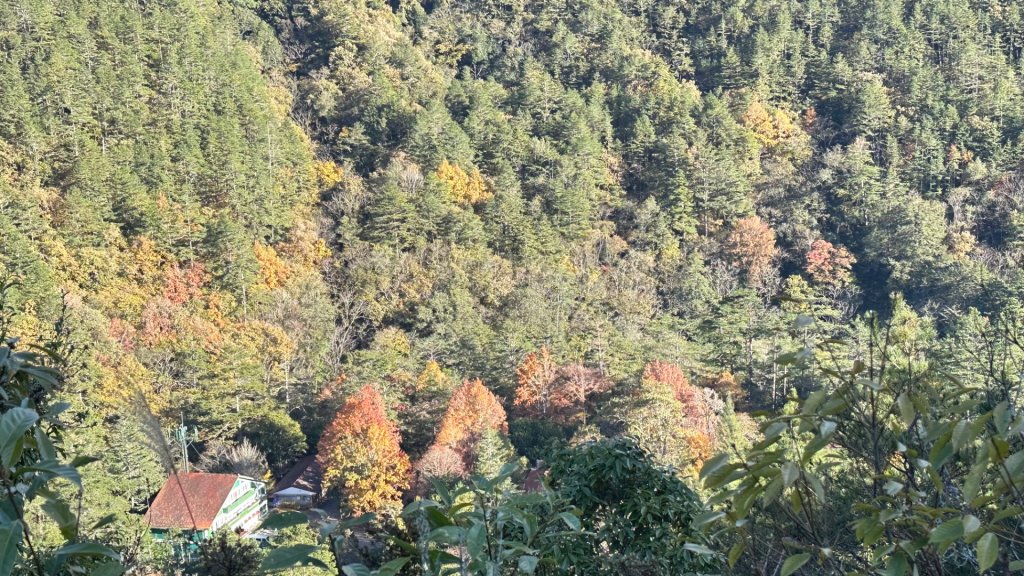 馬武霸下武陵_2962385