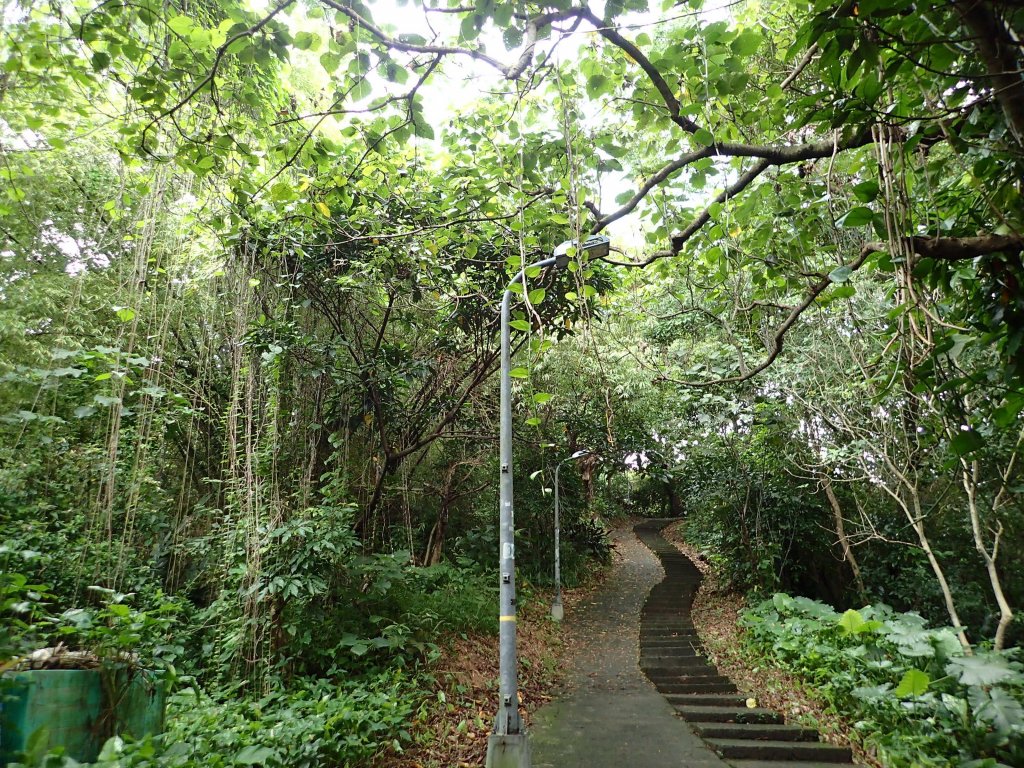 訪仙跡岩, 尋找神仙落腳的痕跡!_1740848