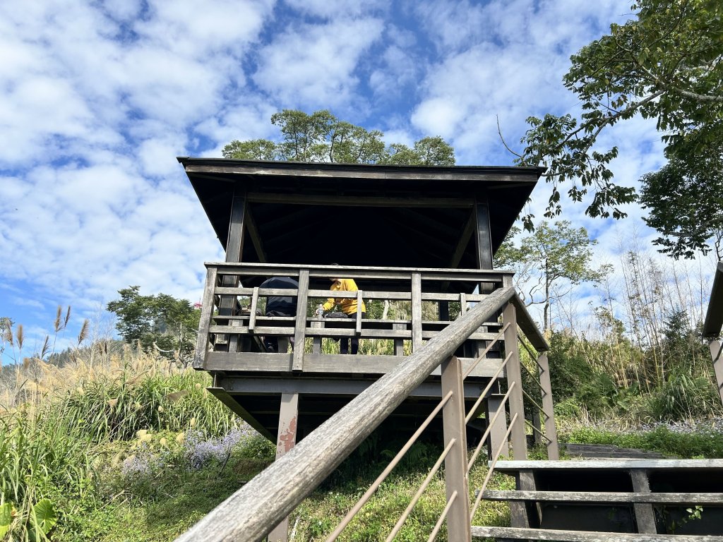 二延平步道_2969803