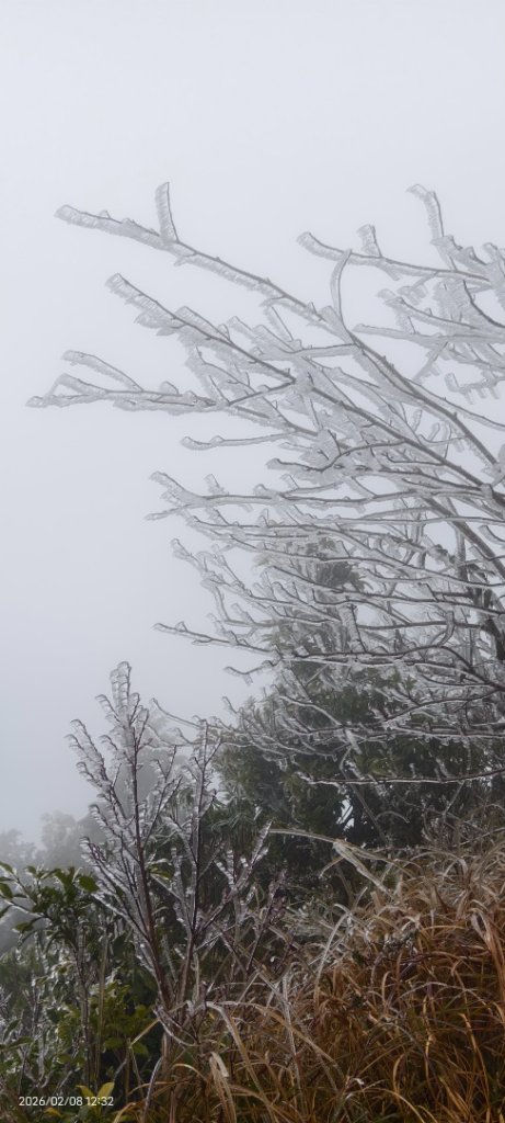 #霧淞 #雲海 #雲瀑 #霧虹 #太平山 #望洋山 #觀雲步道 #翠峰道路  2/8_2995341