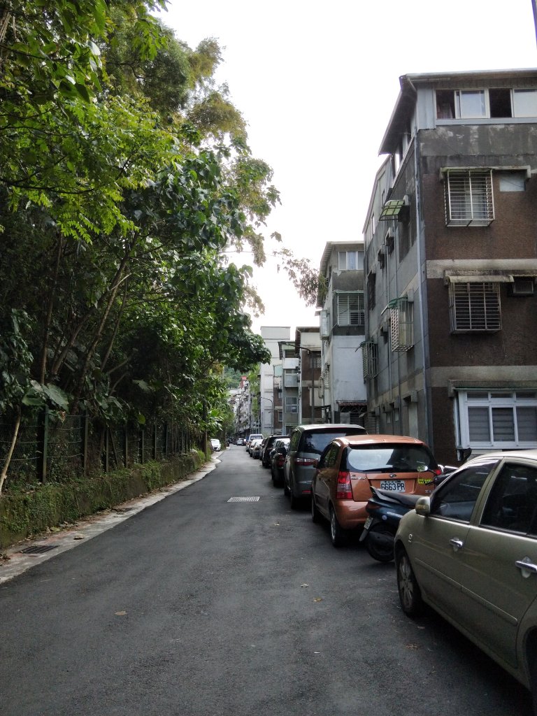 南港山縱走親山步道(拇指山、南港山、象山、九五峰)_1679322