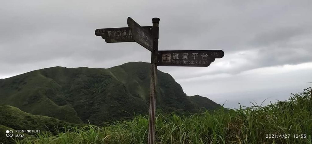 桃源谷步道- 視野遼擴、群山環繞、風行草偃、鶴隨牛行_1365335