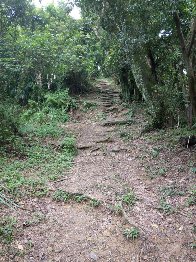 中埔山-福州山-富陽自然公園_685518