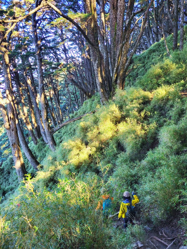 【神池上小關山】媲美喜多麗雲海夕陽_2354932
