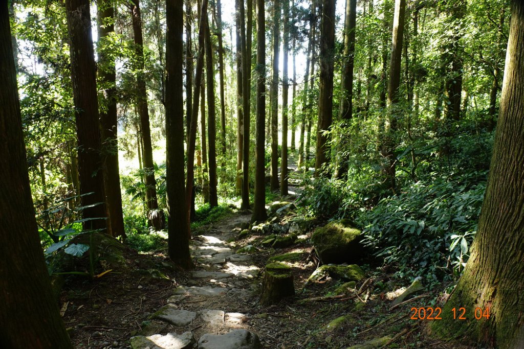 嘉義 竹崎 光崙山、摩天嶺_1941061