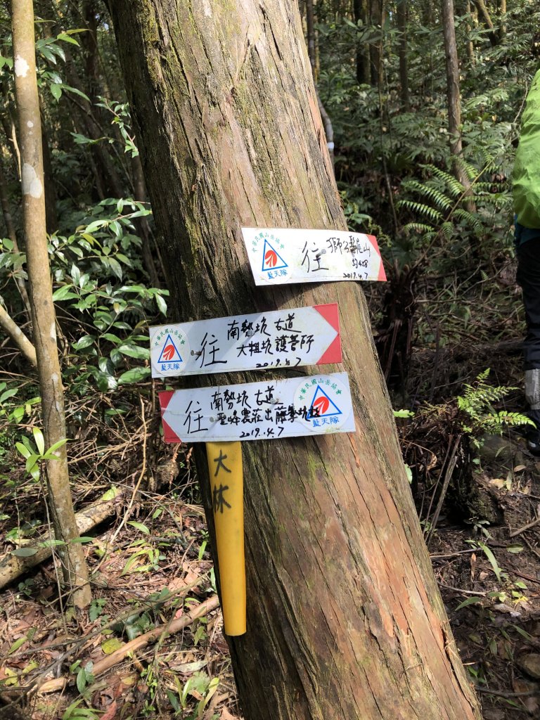 獅公髻尾山連走伏獅山接九芎坑山(玉桂嶺)_912587