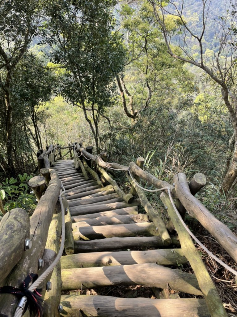 頭嵙山相思枕木遙上天封面圖