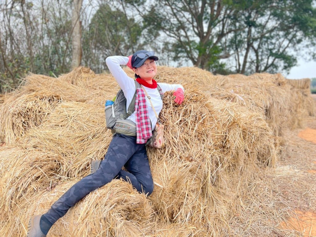 20260127三通嶺山.三義山(大桁茂山).慈濟山.大坪山大O走_2990012