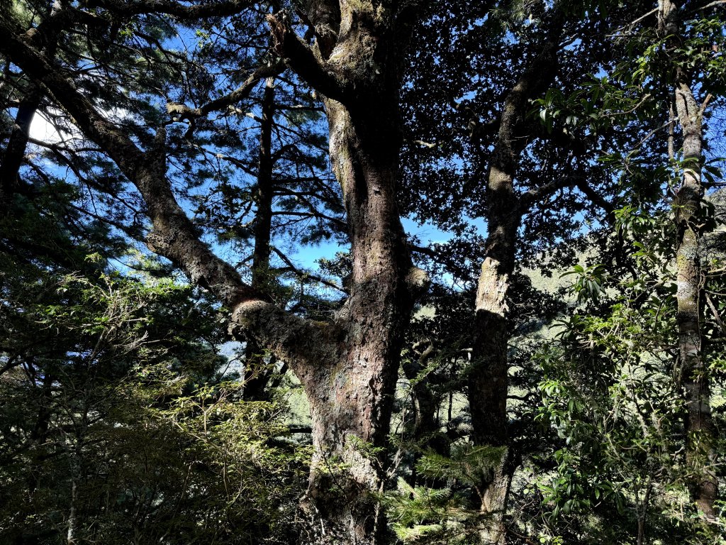 觀雲山莊經小完美谷上畢祿山O繞_2917193