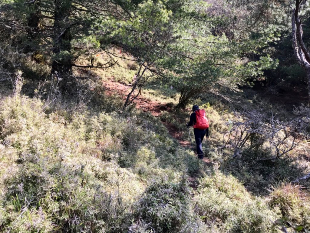 石山 石山引水道_551386