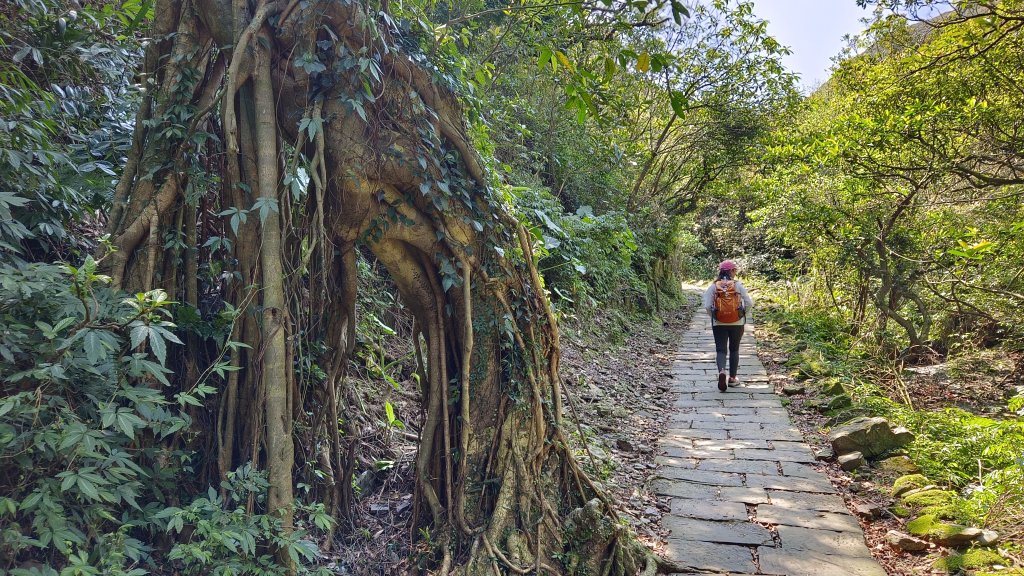 (姨婆趴趴走)第四十八集:新北草嶺古道（福隆車站-大里車站）_2747679