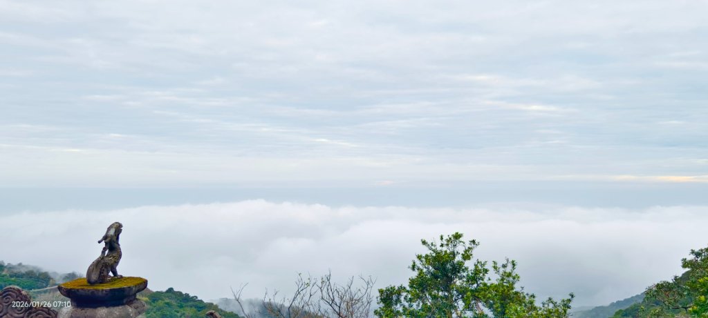 陽明山趴趴走追雲趣 #雲海 #琉璃光 1/26 認得幾個拍照地點共15個_2988318