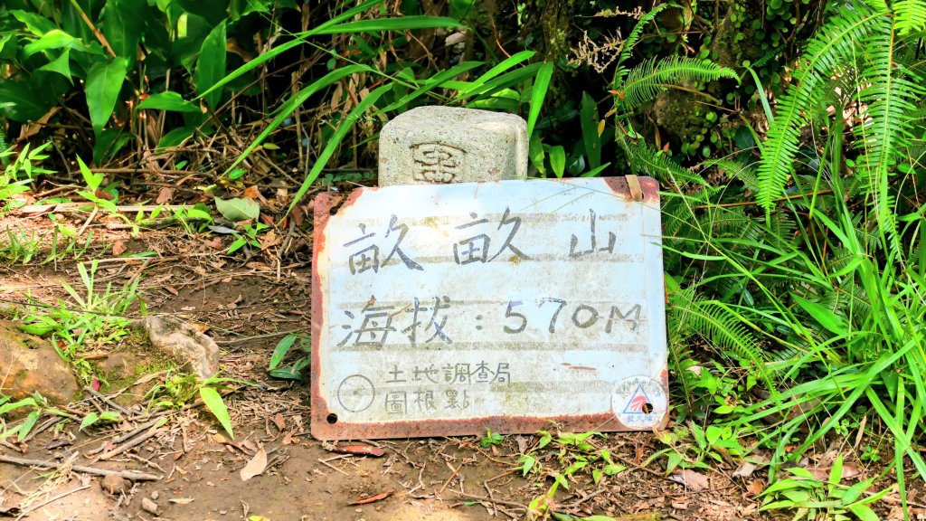 石古井,青林山,畝畝山,平溪子山_2854720