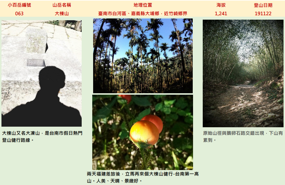 【美美兔的日常】完登雲嘉南高高屏27座小百岳_2184503