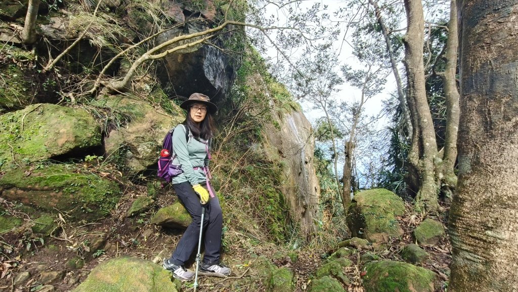 筆架連峰1131124_2653219