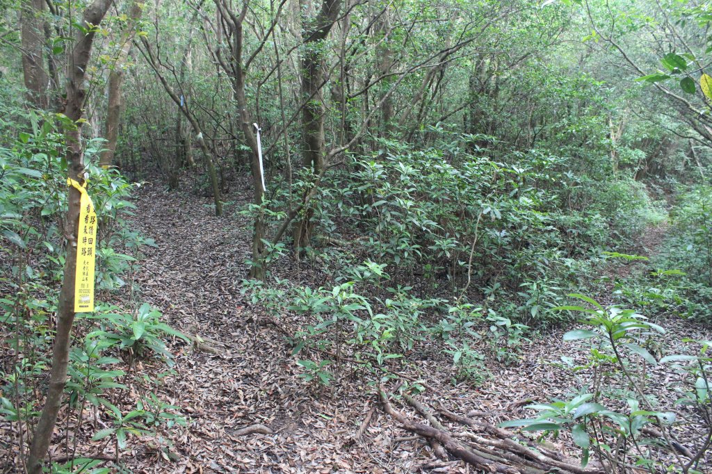 20210904屏東力里山_1453828