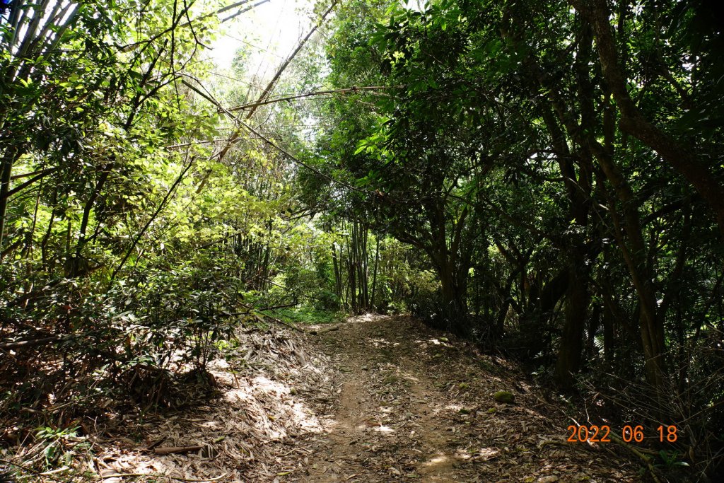 南投 草屯 大虎山_1737995