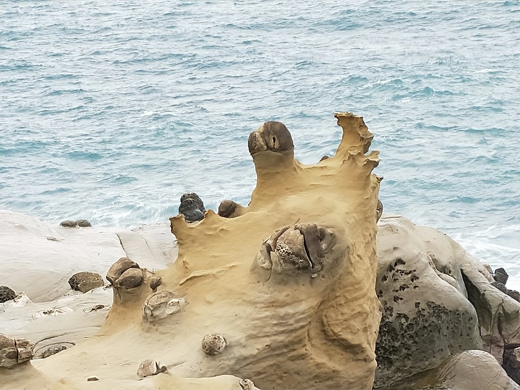 和平島環山步道_423214