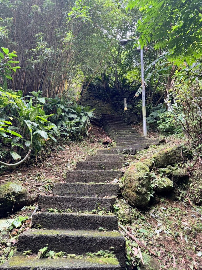 【新北】獅頭山(小獅山)步道_2512183