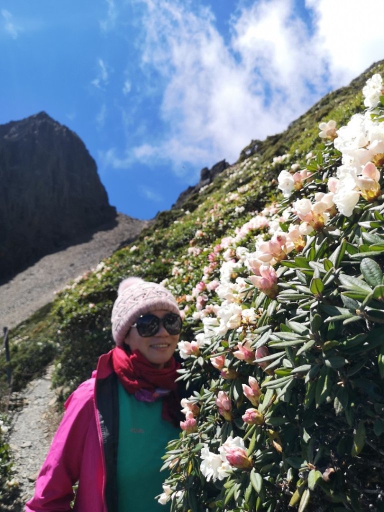 玉山群峰前五峰後四峰_2609996