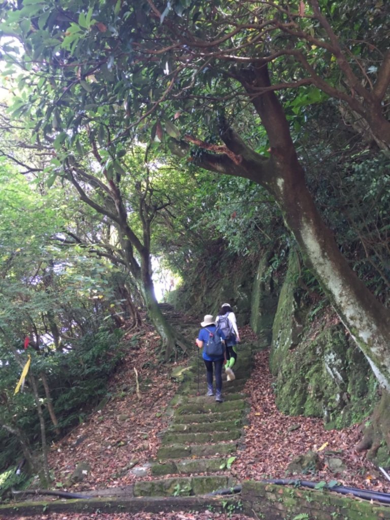 淡蘭古道-北路_986113