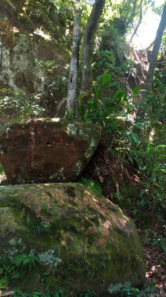 孝子山、慈恩嶺_1030183