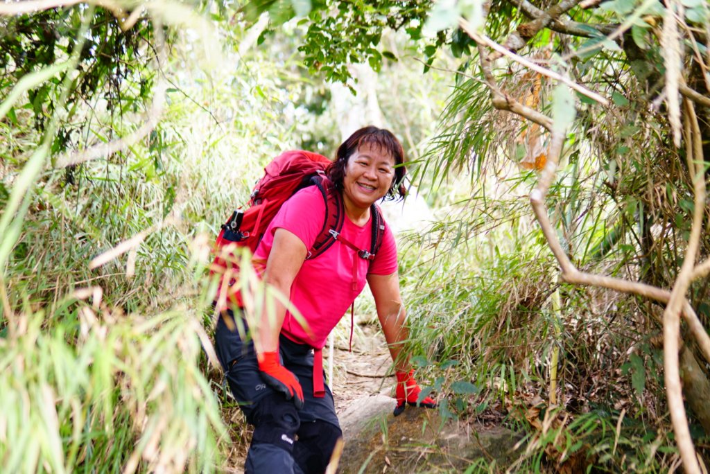 三腳南山、難山傻傻分不清楚_1241004