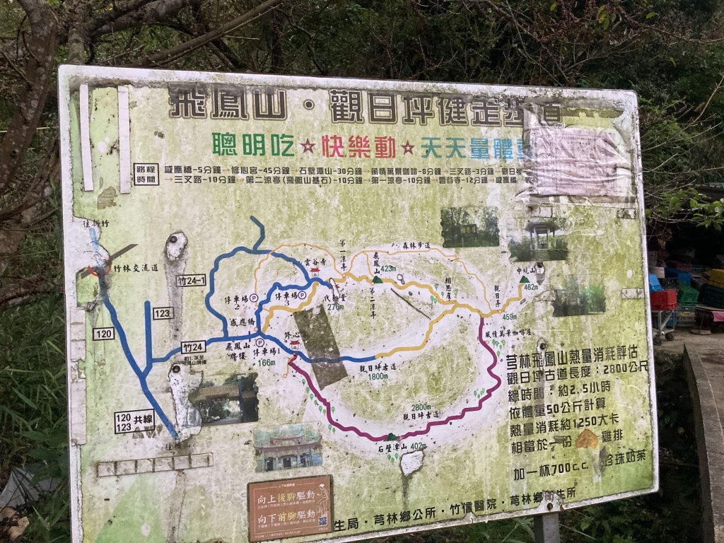 飛鳳山登山步道封面圖