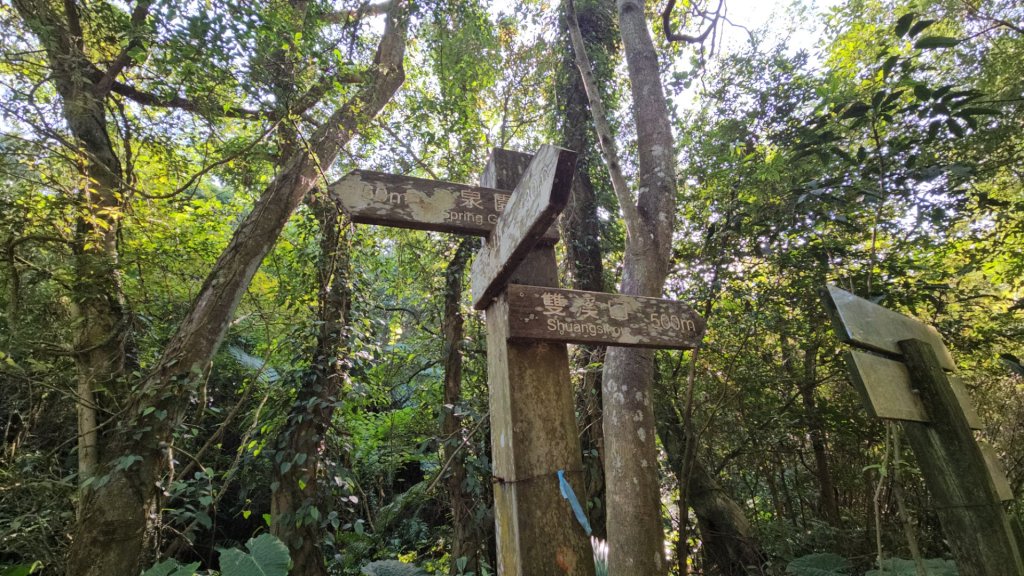 20251215林口森林步道+太平嶺海濱步道_2969361