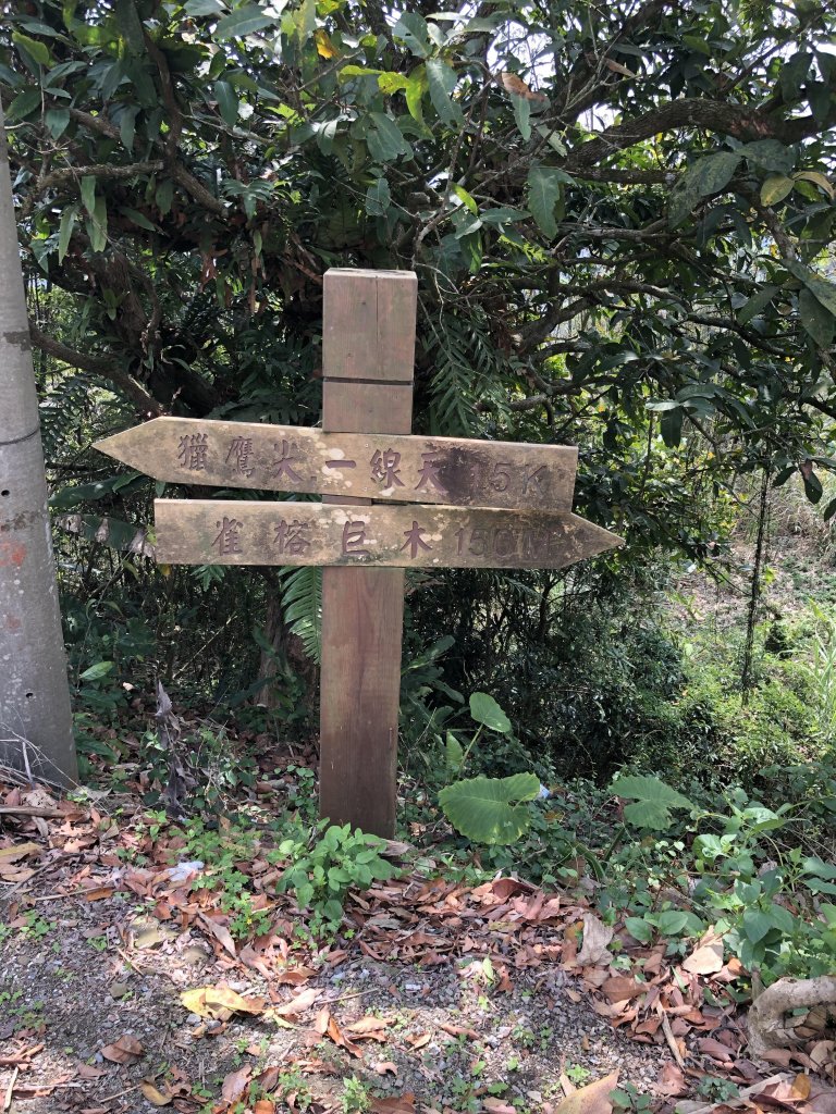 梅峰古道.獵鷹尖 一線天_597025