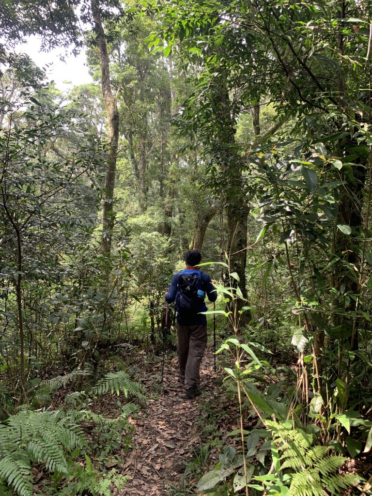 山上人家→鵝公髻山 原路折返_689313