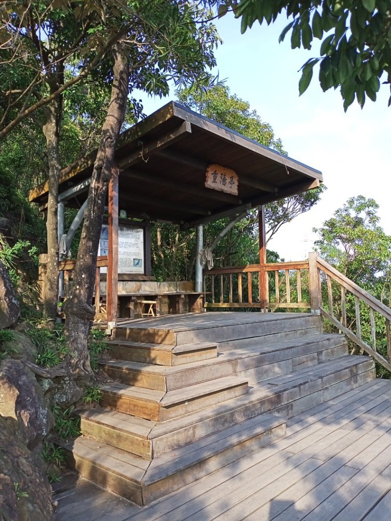 【台北-臺灣百大必訪步道】金面山親山步道_1104308