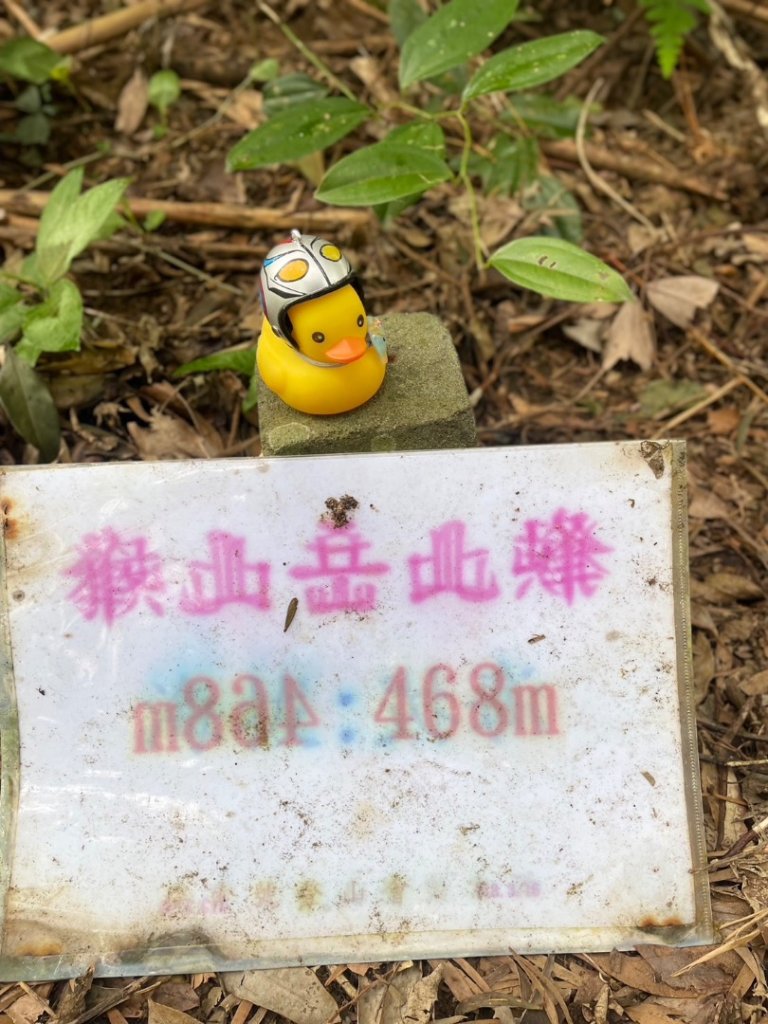 銀河洞越嶺貓空-新高麗坑山-銀獅縱走-猴山岳群峰+三條魚縱走_2699527