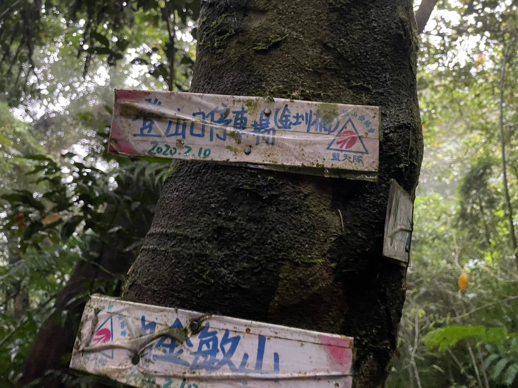 金詩塞內_2236665