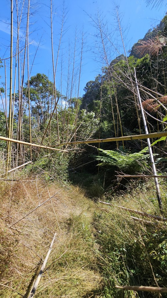 【四大天王山O型縱走未竟之旅：封山中的靜謐與省思】解鎖嘉義竹崎四大天王山、知鳥山。_2929907