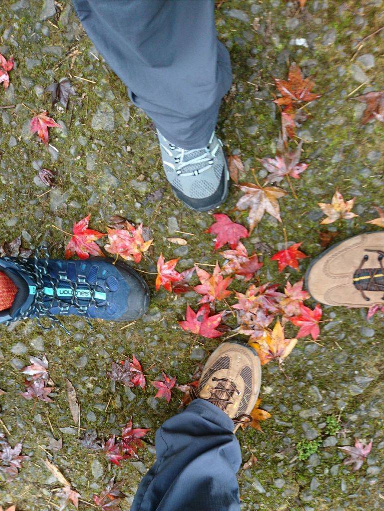 馬那邦山登山步道 2017 12 17_226472