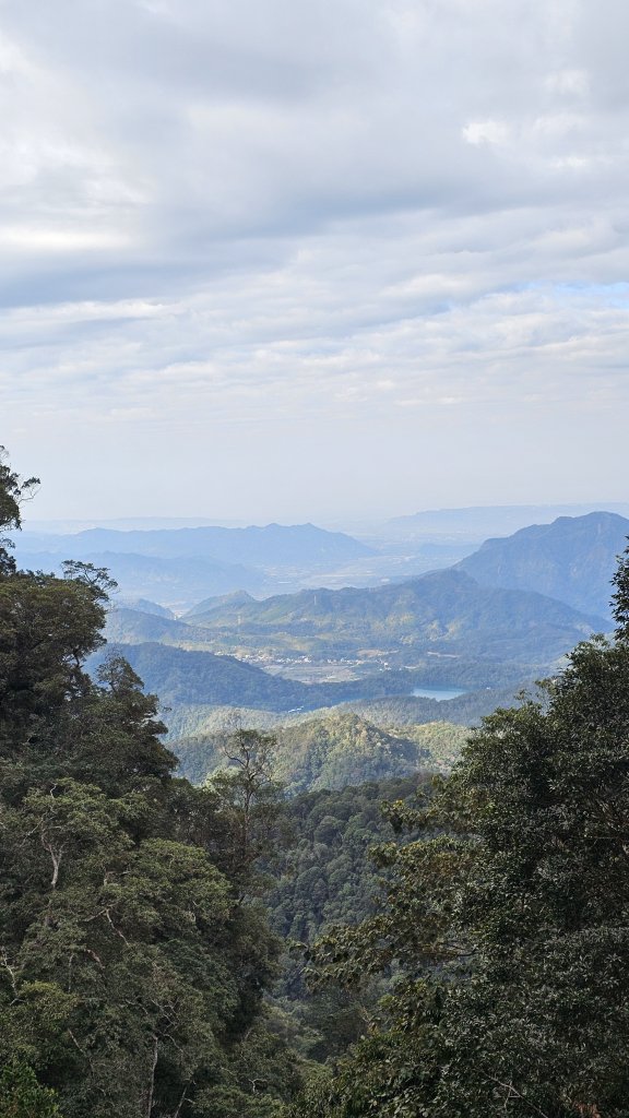 【中級山經典：水社大山、水社主峰】🥾4小時53分的征途，汗水與意志的考驗。_2982560