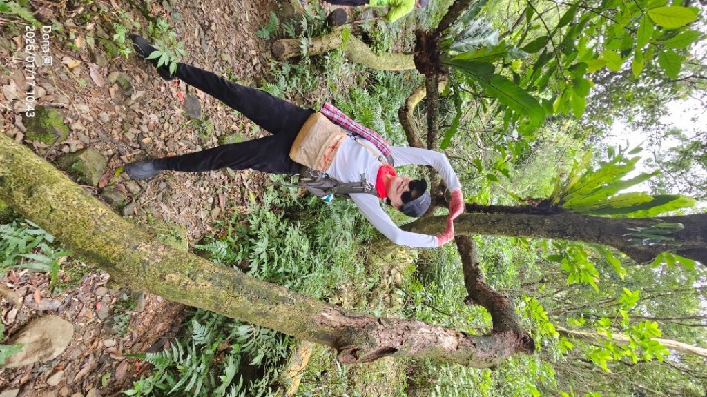 20260117淡蘭北路三段隆嶺古道+雪山尾稜北段+福卯古道大O走_2990086